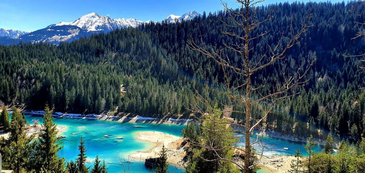 Ferienwohnung 3,5 Zimmer Direkt An Ski- Und Bikepiste Flims Exteriér fotografie